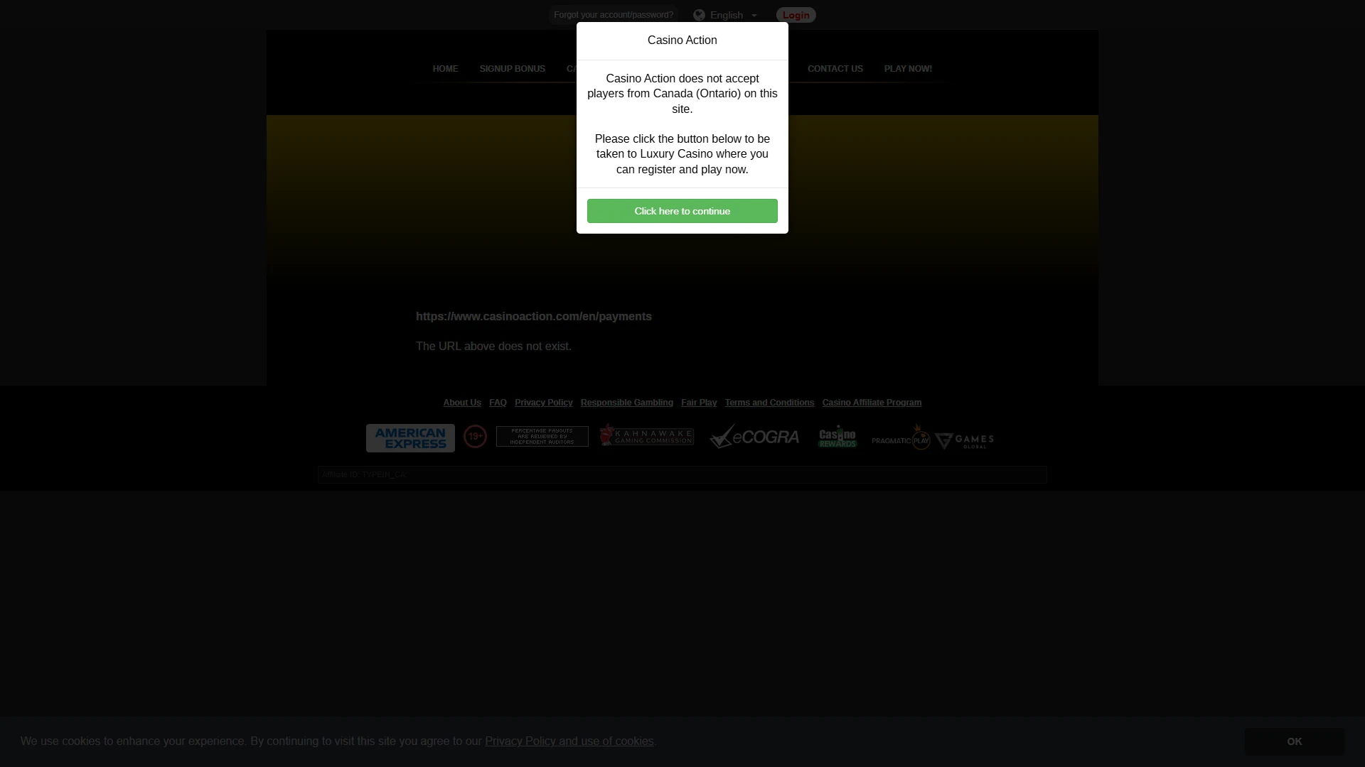 Casino Action payment methods